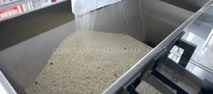 5kg rice packing machine