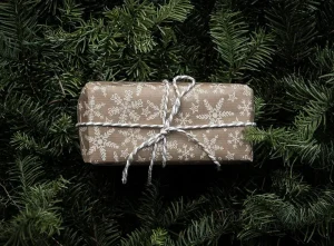 The Future of the Packaging Industry —Green Package